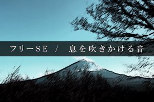 最高の心臓 音 フリー スーパーイラストコレクション